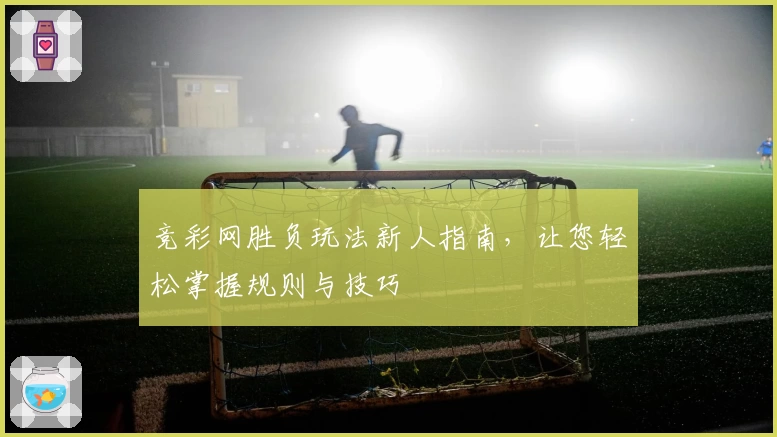 竞彩网胜负玩法新人指南,让您轻松掌握规则与技巧